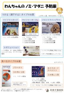 ノミ・マダニの寄生を予防する目的は・・・  彦根犬猫病院