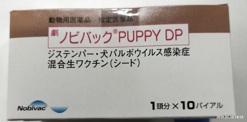 犬ジステンパーワクチン　フェレット